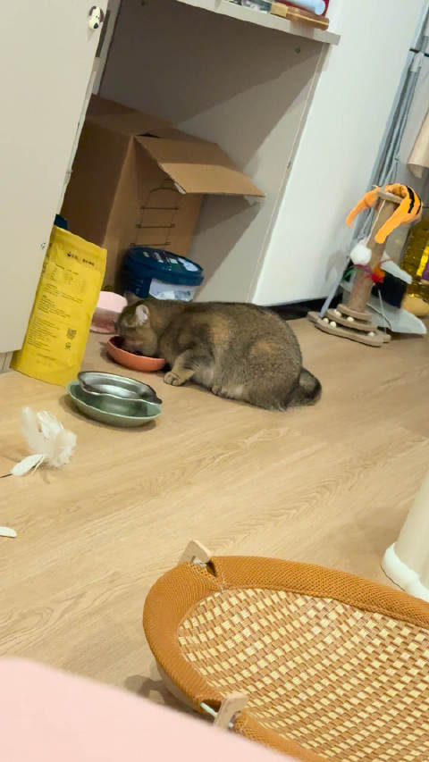 崔永熙单手抢断惊艳全场 25厘米巨掌展现国产小