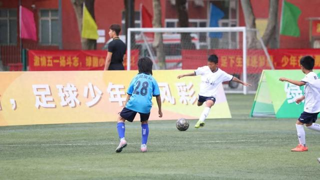 新型足球学校与青训中心职能差异及整合挑战